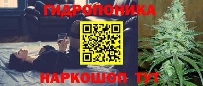 PSILOCYBIN Кунгур