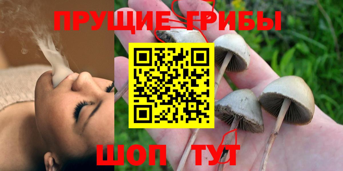 Псилоцибиновые грибы прущие грибы Сыктывкар